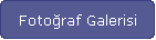 Fotoraf Galerisi