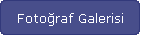 Fotoraf Galerisi
